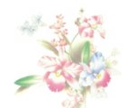 2004015